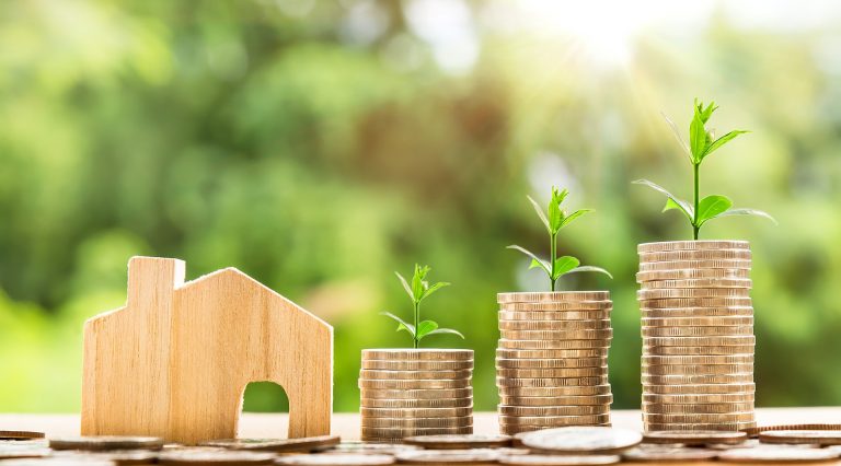 Cashflow trifft Wachstum